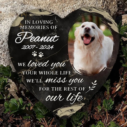 668c9da192417_large